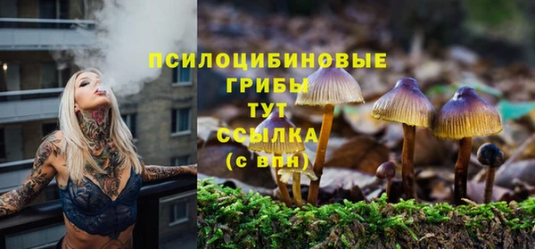 ПСИЛОЦИБИНОВЫЕ ГРИБЫ Магас