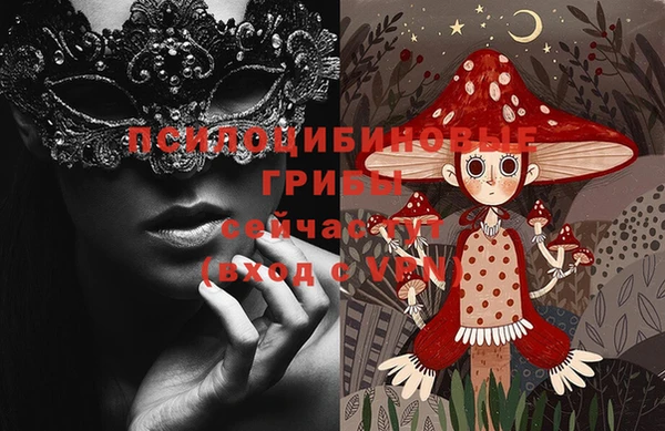 ПСИЛОЦИБИНОВЫЕ ГРИБЫ Магас