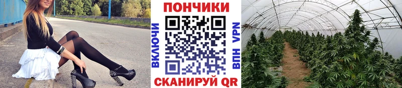 Купить где  Павлово  Марихуана семена 